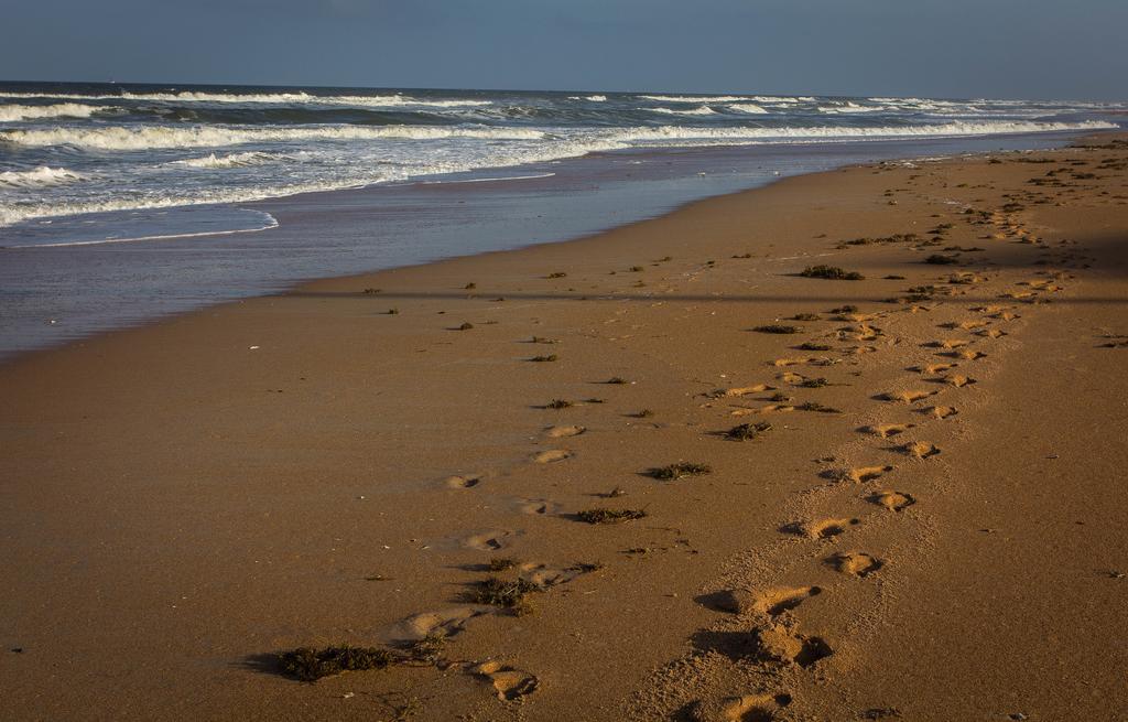 View The Ocean At Flagler Beach, Florida エクステリア 写真